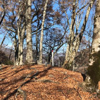 小割沢ノ頭の山頂に到着！
ここで、ランチにします。開けていて気持ちいい場所でした！！