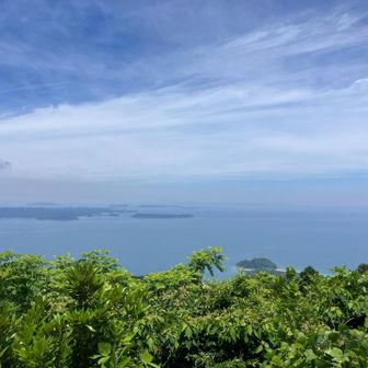 十坊山からの呼子方面景色✨
数年前の呼子🦑おいしかったなー