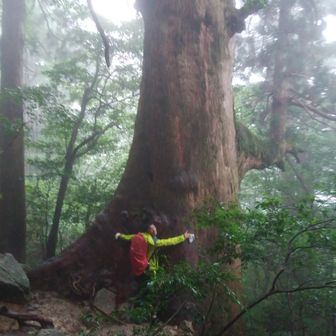 より君父ちゃん