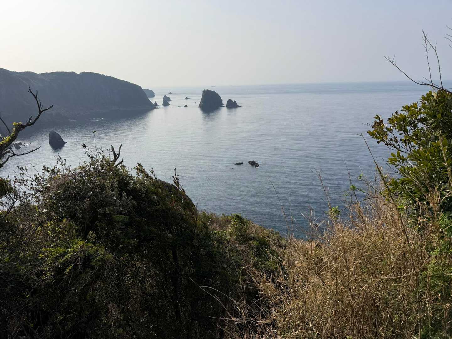 伊豆トロピカルトレイル（1day）の写真