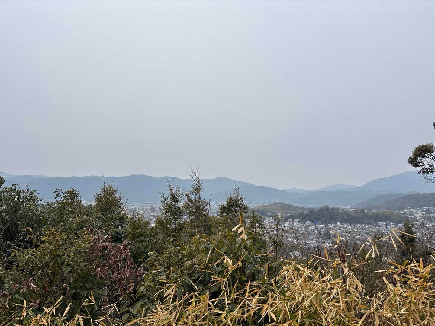 花園駅-双ヶ岡-御室仁和寺駅-御室仁和寺バス停-成就山-御 縦走コースの写真