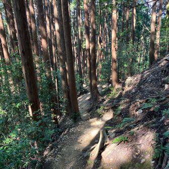 ペースを落として進みます。