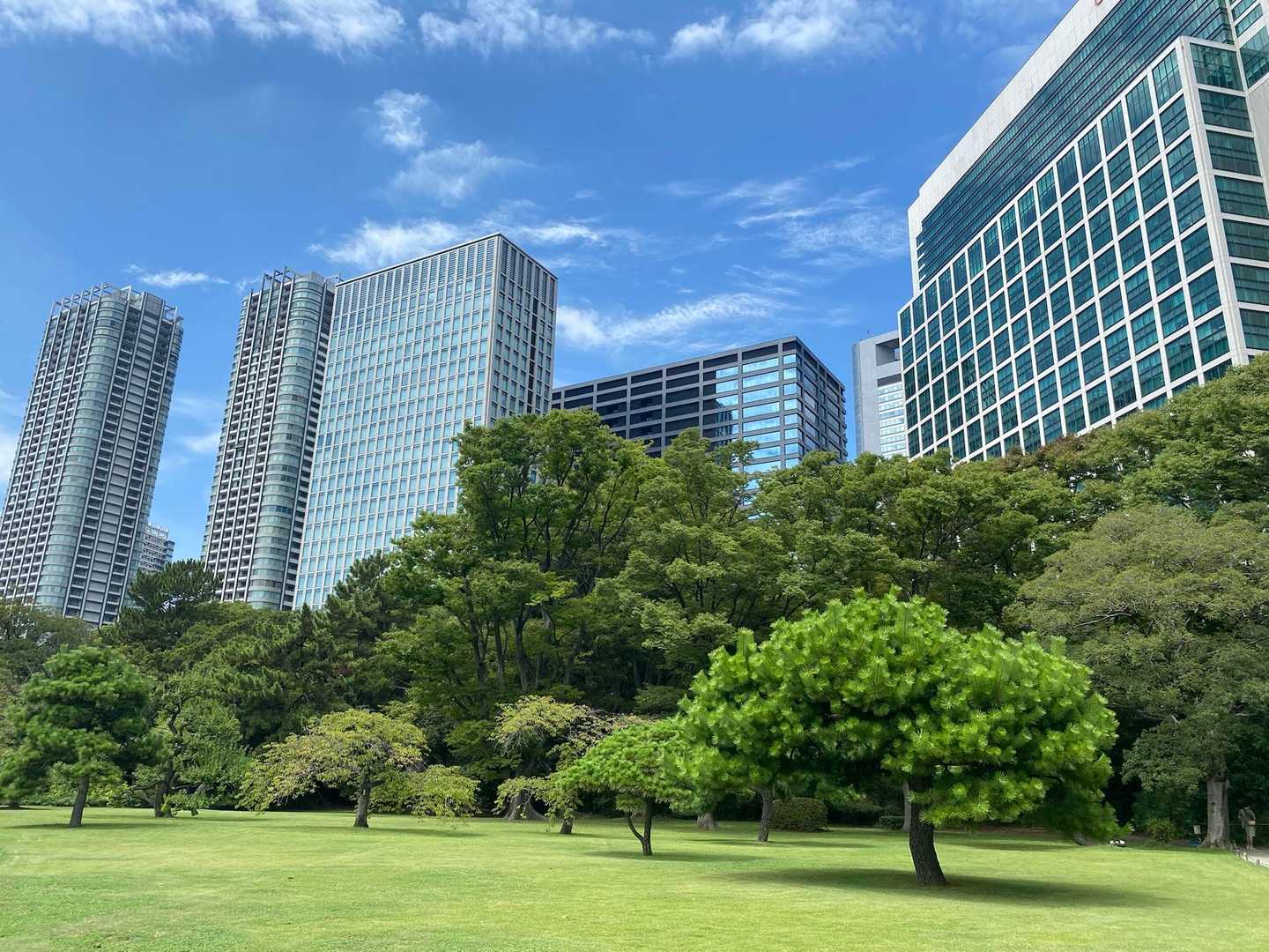 高層ビルの中に自然豊かな庭園😆‼️