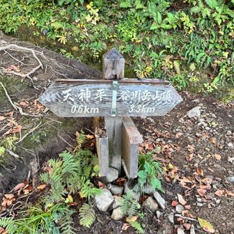 ここからまで
黙々と下山