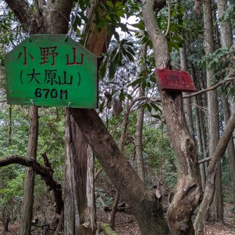 ラスト小野山▲ゲット