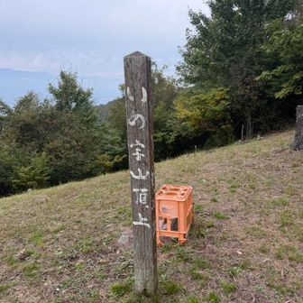 頂上着いた