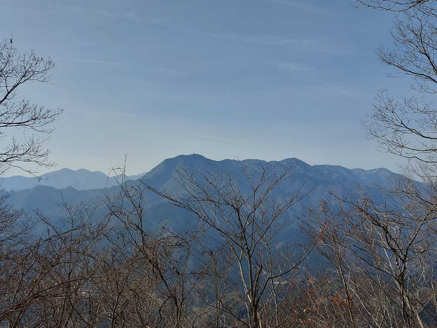 南側に焼山～黍殻山～姫次、左奥は三峰山🎵低山なので丹沢主峰は望めません😅