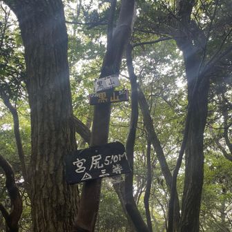 黒山頂上