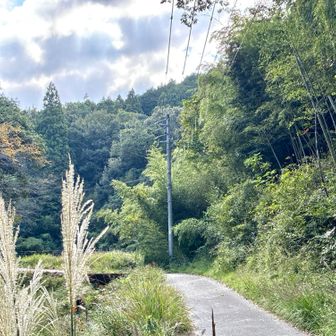登山口
