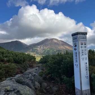 分岐まできた