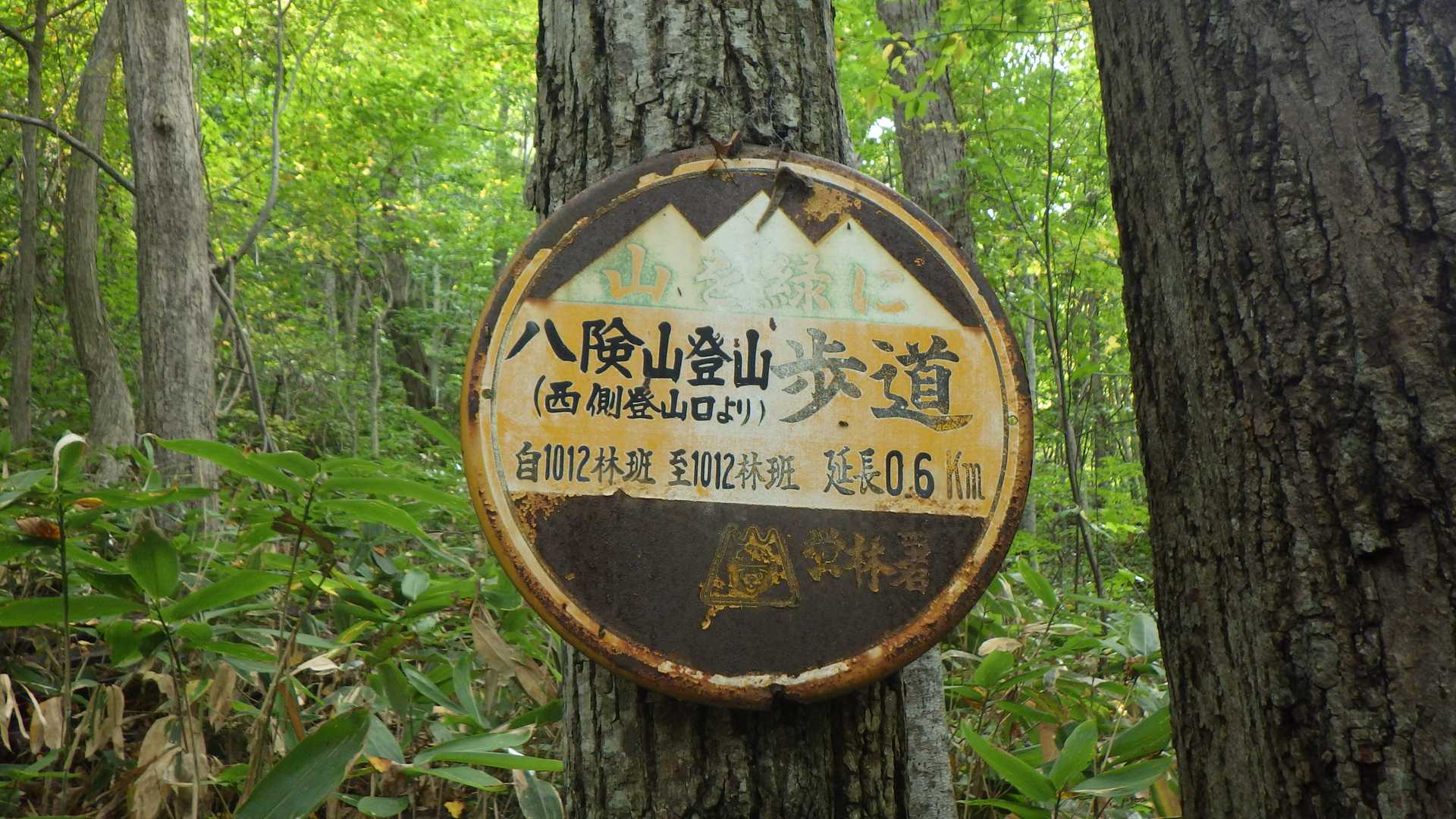 中央口登山口-観音岩山-西口登山口 縦走コースの写真