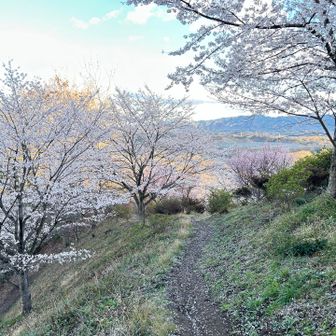 南斜面へ向かう道  トイレ有ります