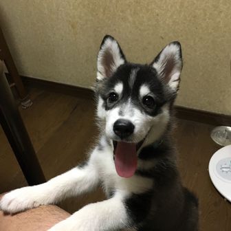 さちこ