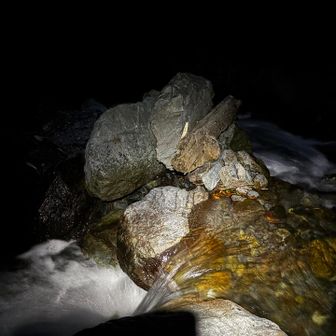 夜なので落ちたらヤバいかと…🥶
