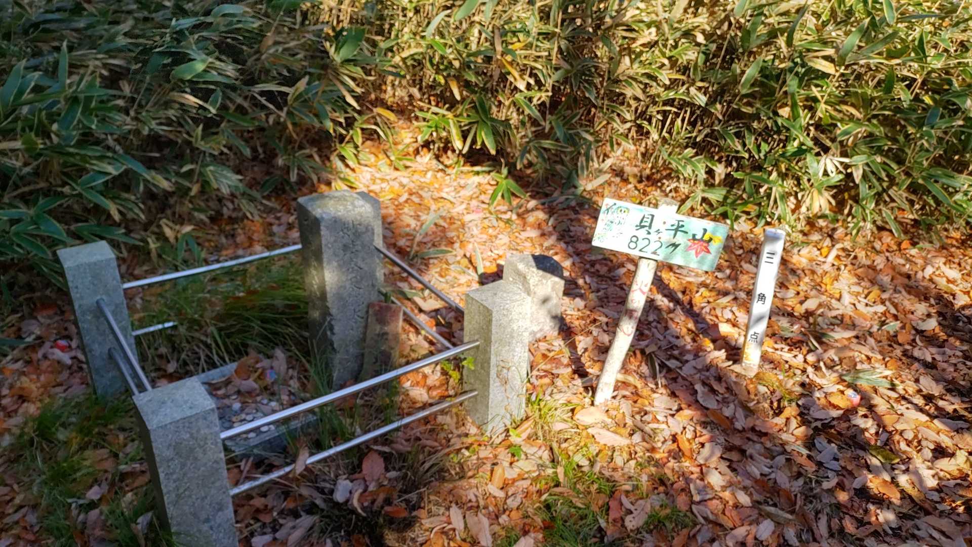 貝平山に到着。
調子乗れたのもここまででした。