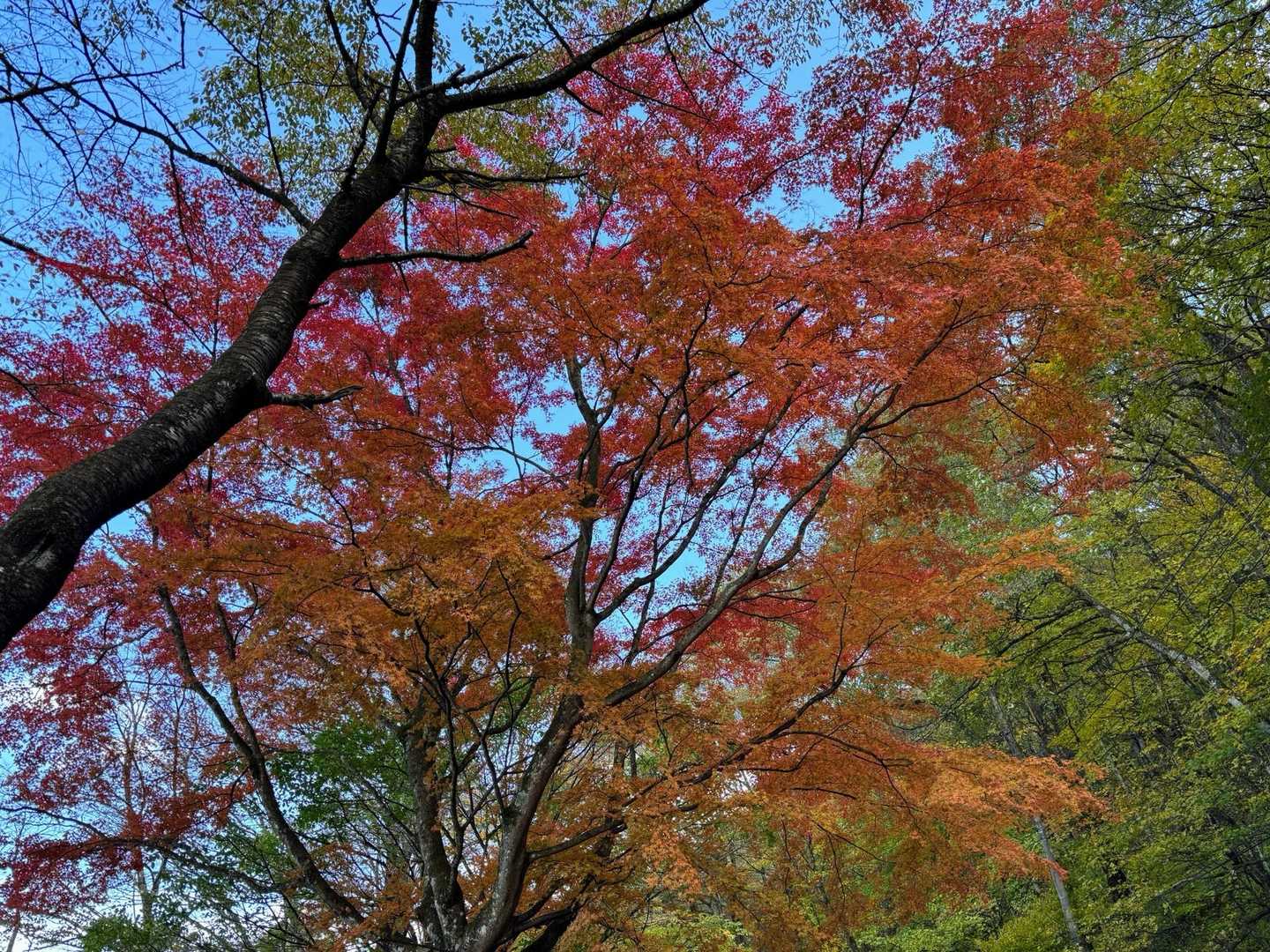 ❤️🧡💛綺麗