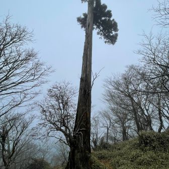 中岳に戻り北岳へ戻る