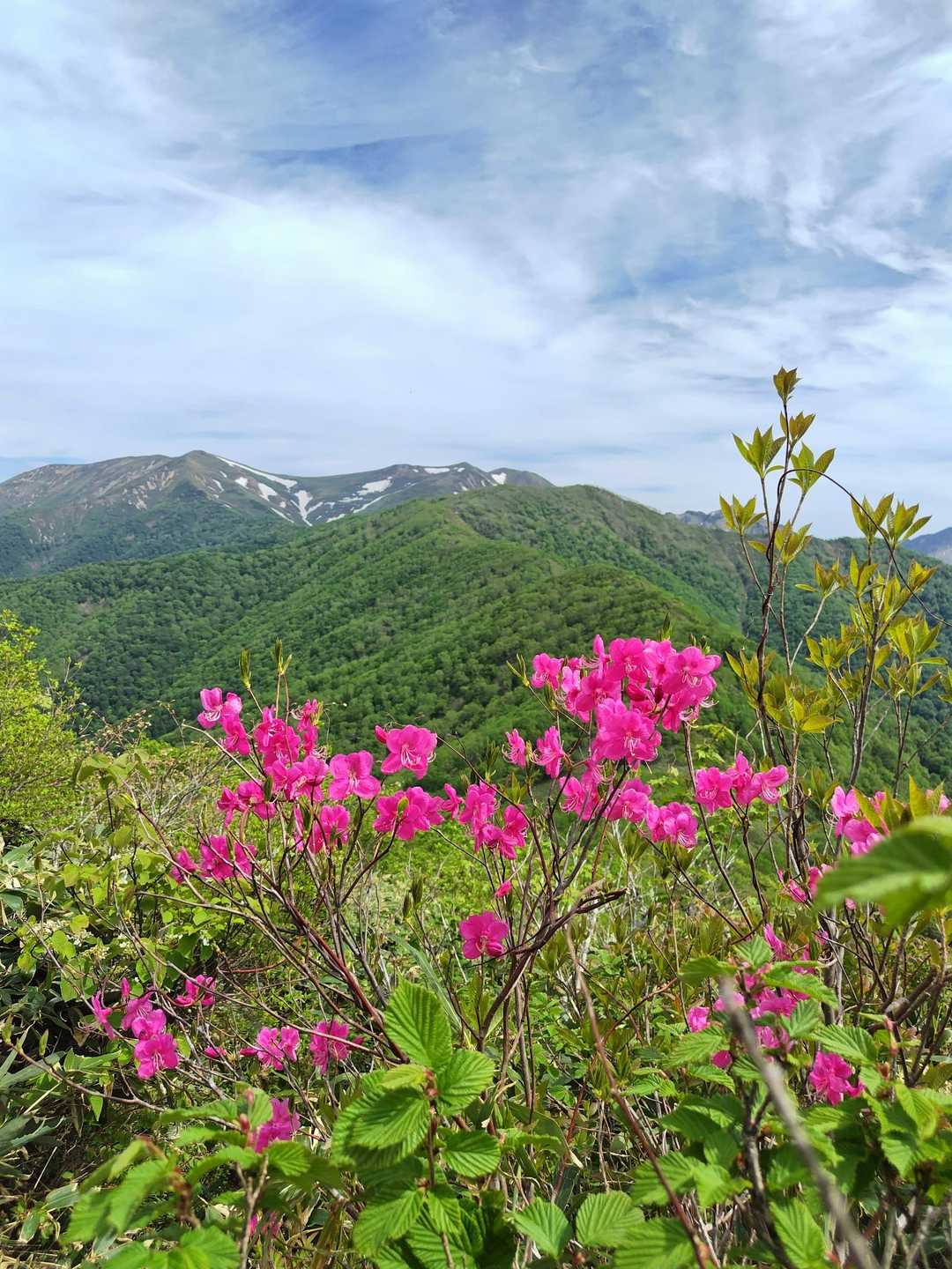 三国山・ワラジカケマツノ頭・三角山・大源太山 / orihimeの登山データ