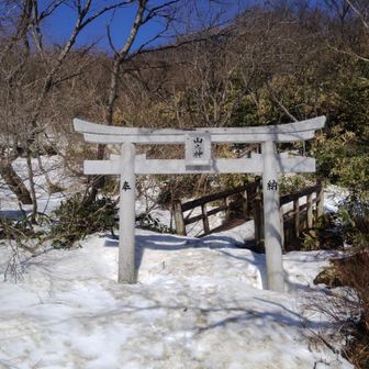 通らせていただきますん