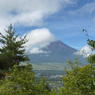 ここまでは富士山見えてます🗻