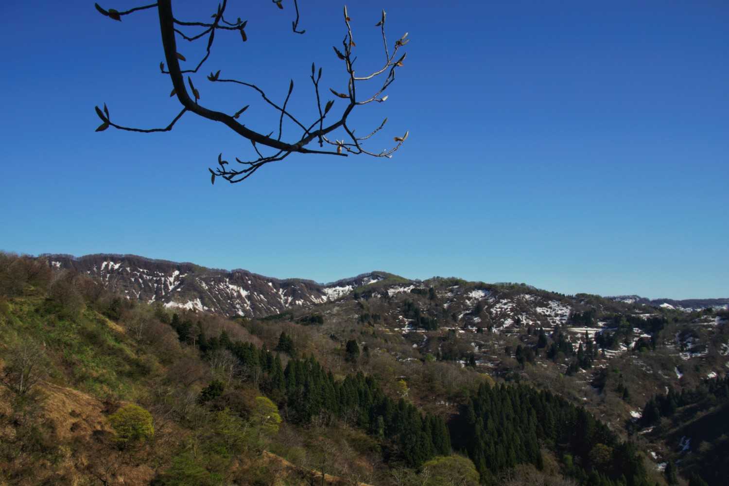 三ノ峠山 周回コースの写真