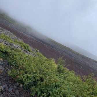 雨が降って来た。景色はもう無い。真っ白だ。