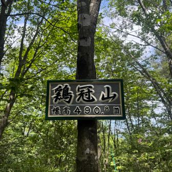 鶏冠山
