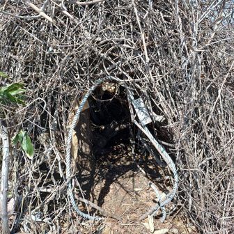 ココは秘密基地！！