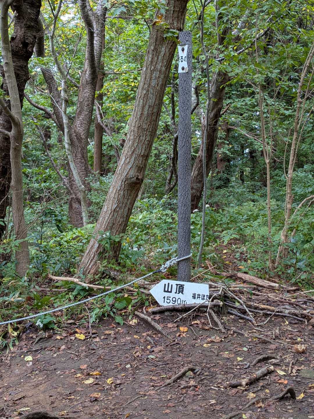左手に進めば角田山ですが、私は、とっとと下山します…😅