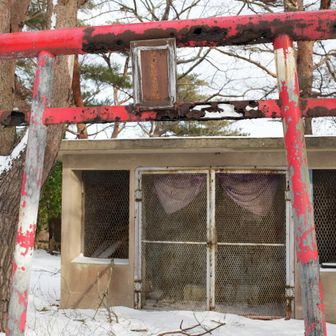 今年の初詣ではここにした