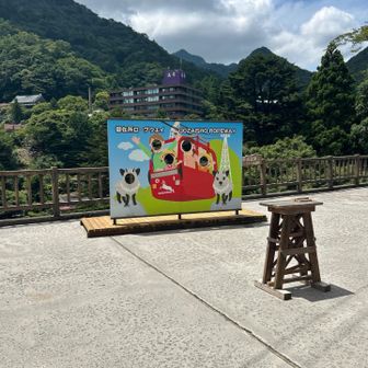 顔ハメ