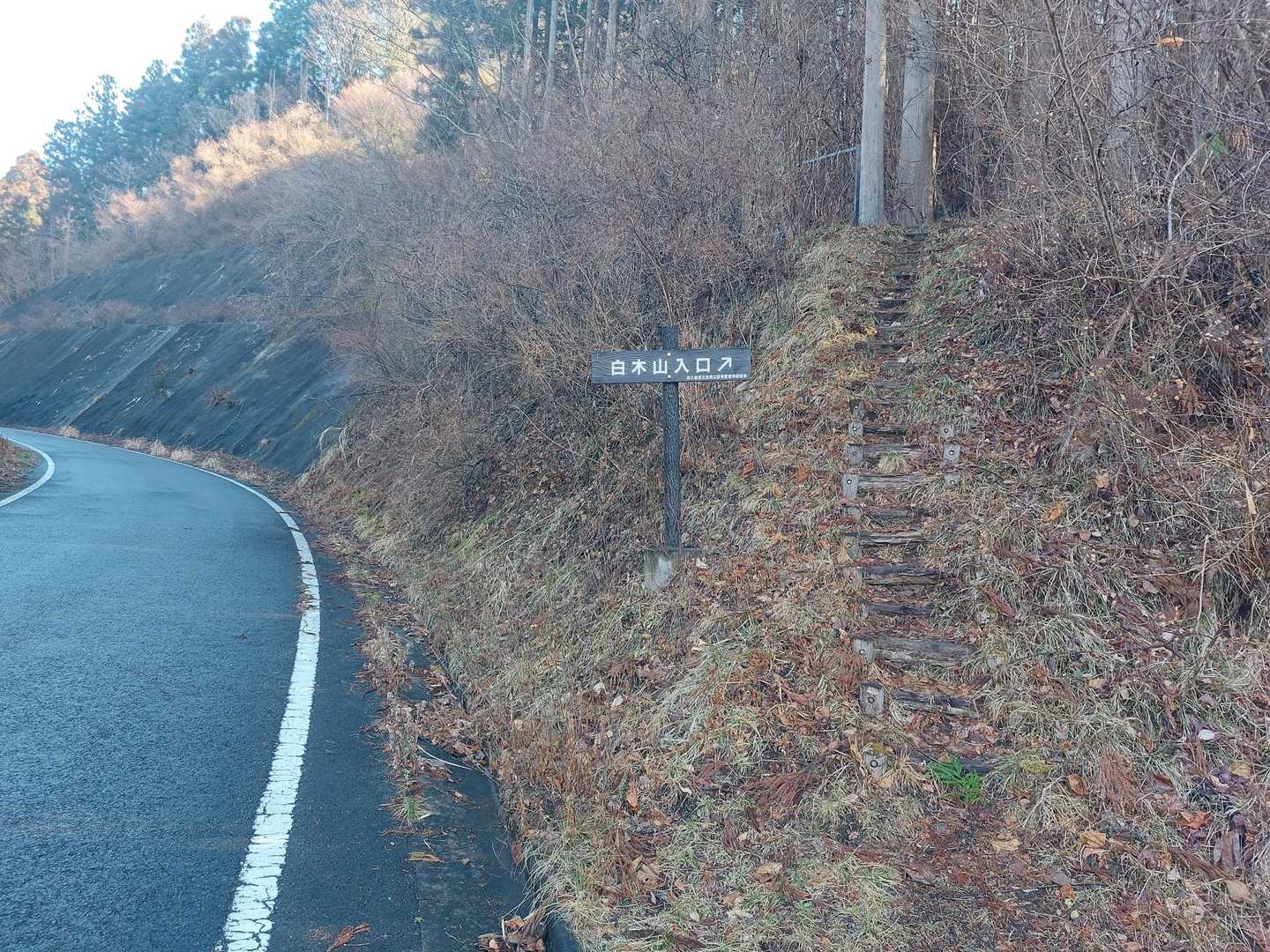 すぐに登山口で白木山に向かいます🎵