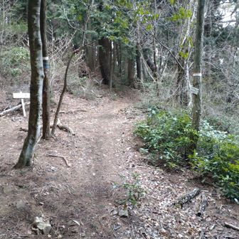 小堂峰・鍋谷峠へは右側