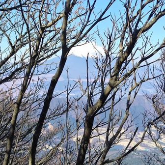 枝の隙間から🗻が見える程度
分岐まで戻ります