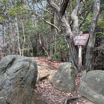 山頂。ちょうど標高500mなんだ
