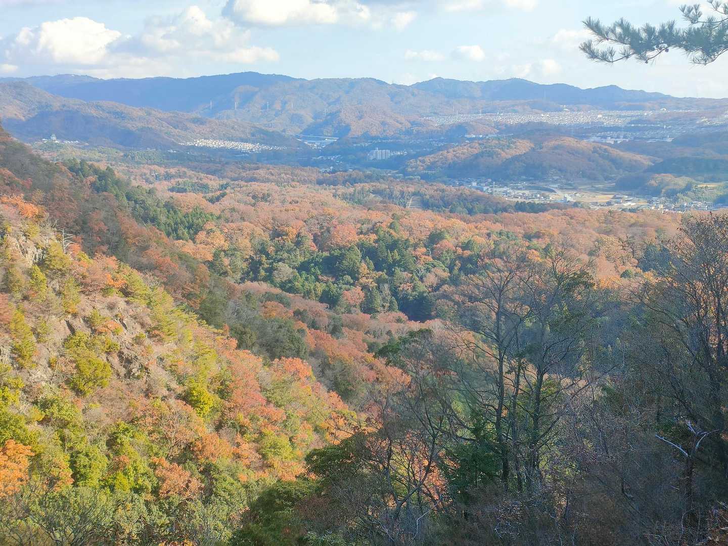 丹生神社-丹生山-帝釈山 往復コースの写真