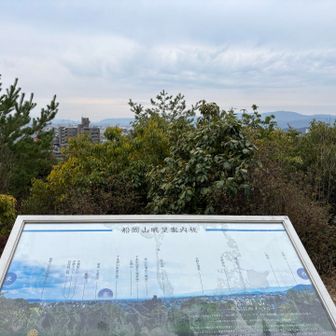 意外に展望良い