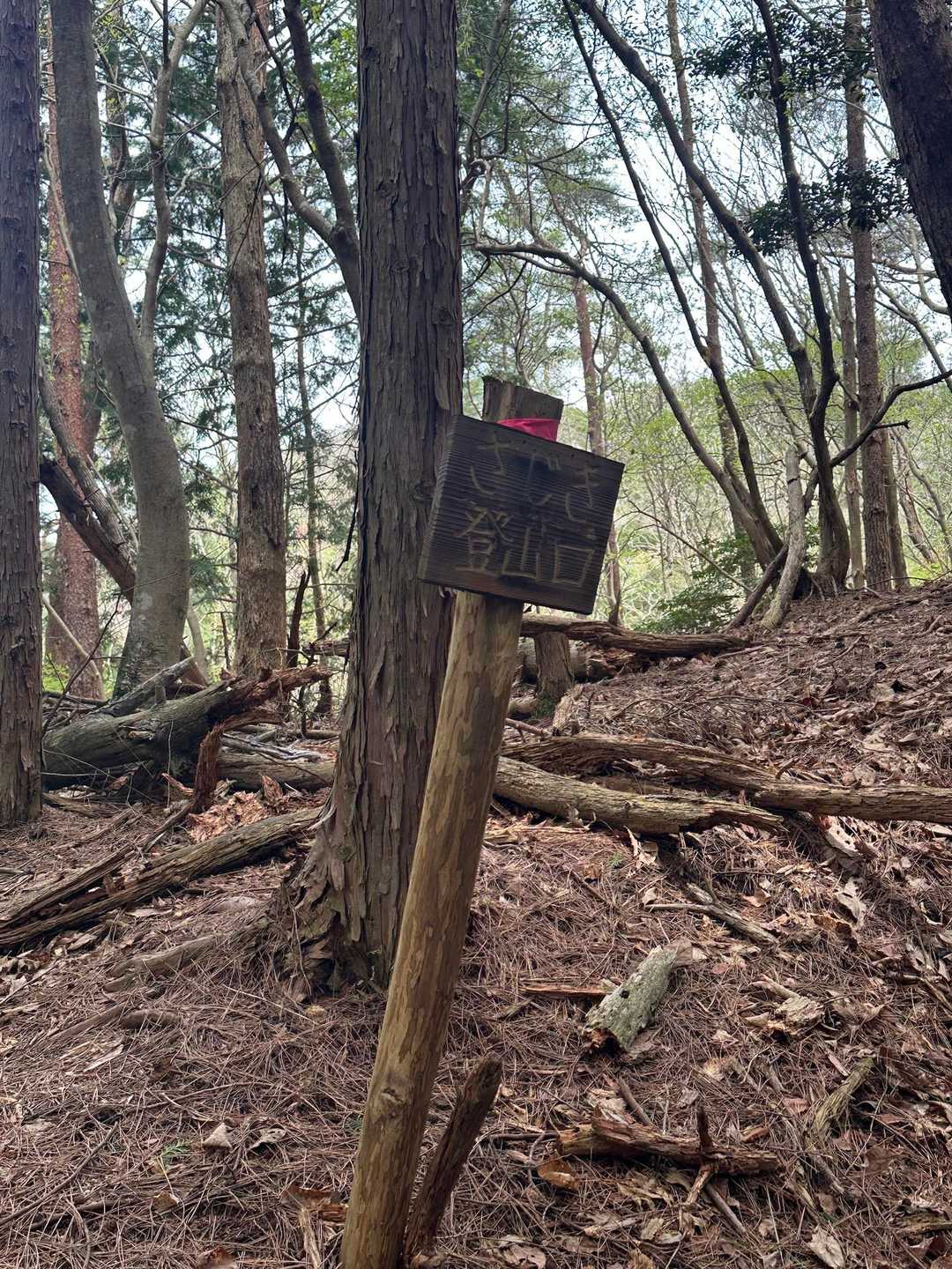 何故ここで登山口❓