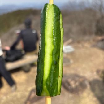 Kさん自家製のきゅうりのお漬物🥒美味しい。