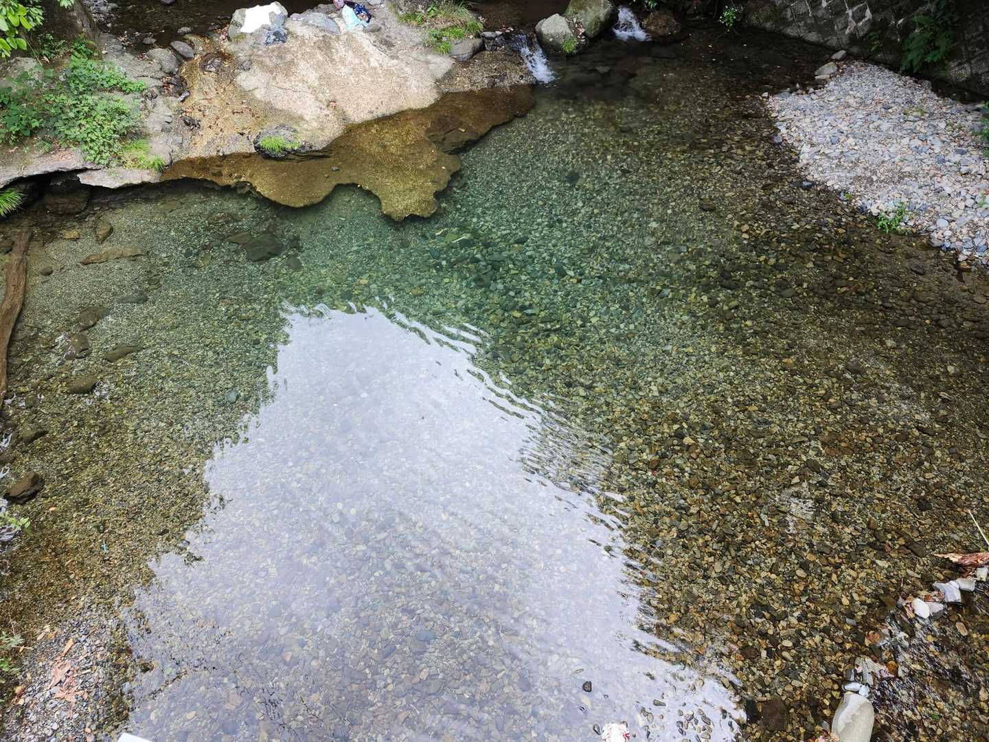 水が澄んでてキレイ✨