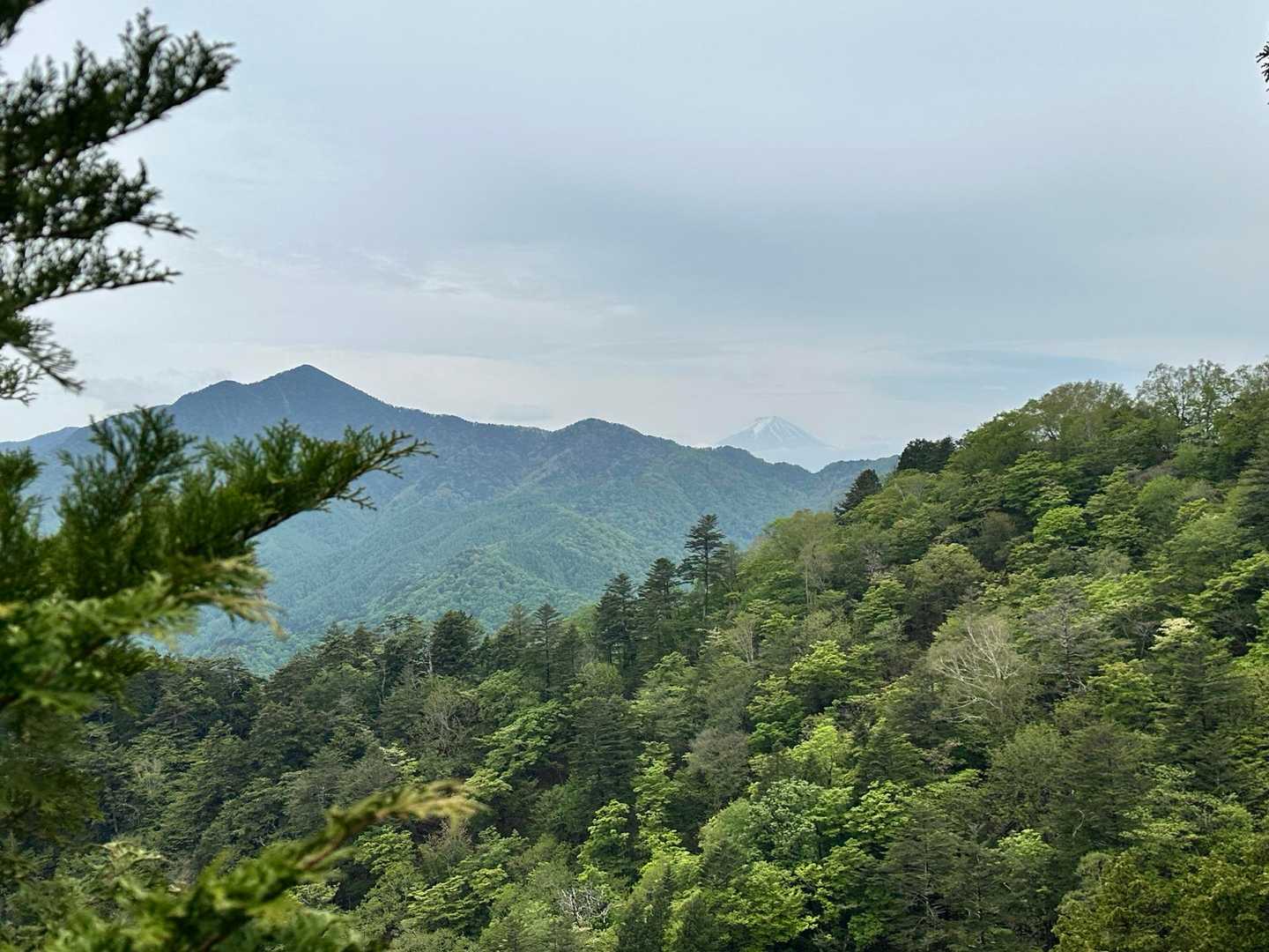 尖った山容の北側からの大菩薩嶺と富士山