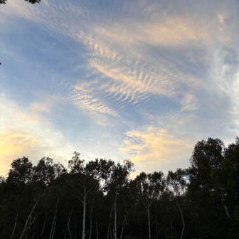 夕焼け雲