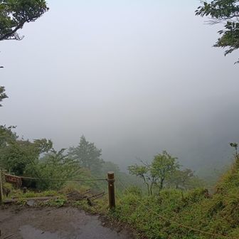雲の中に入りました