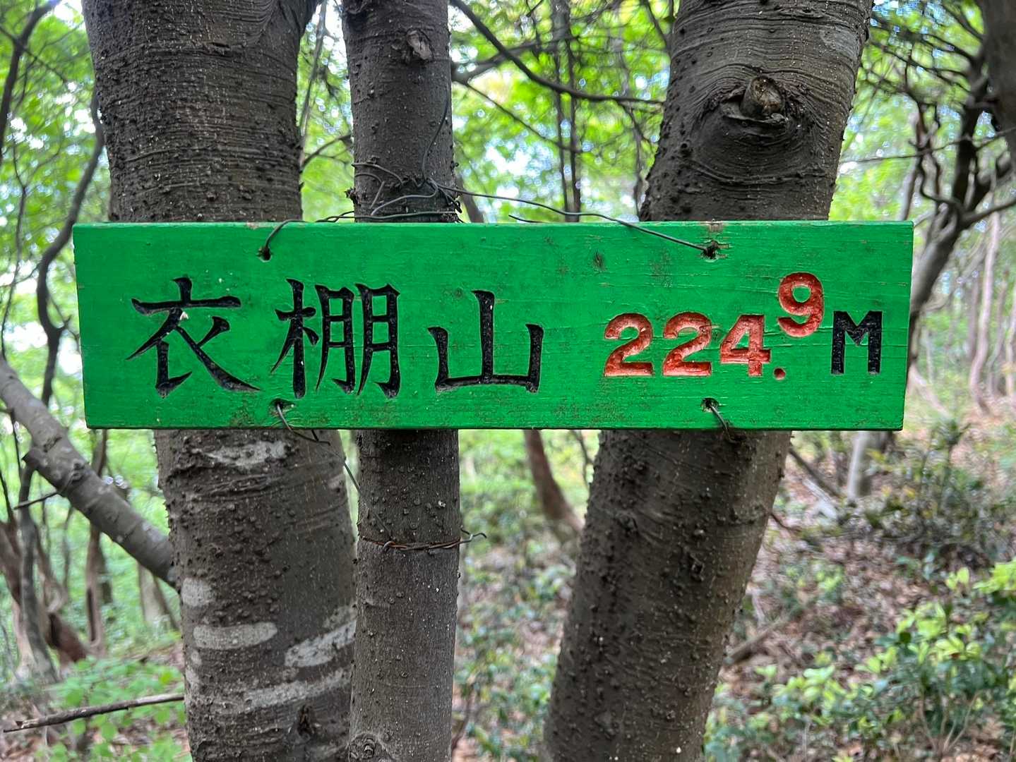 衣掛山登山口-衣掛山 往復コースの写真