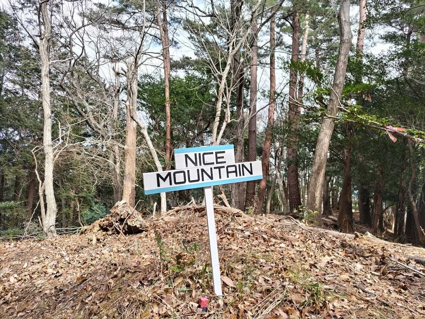 はい
そう思います