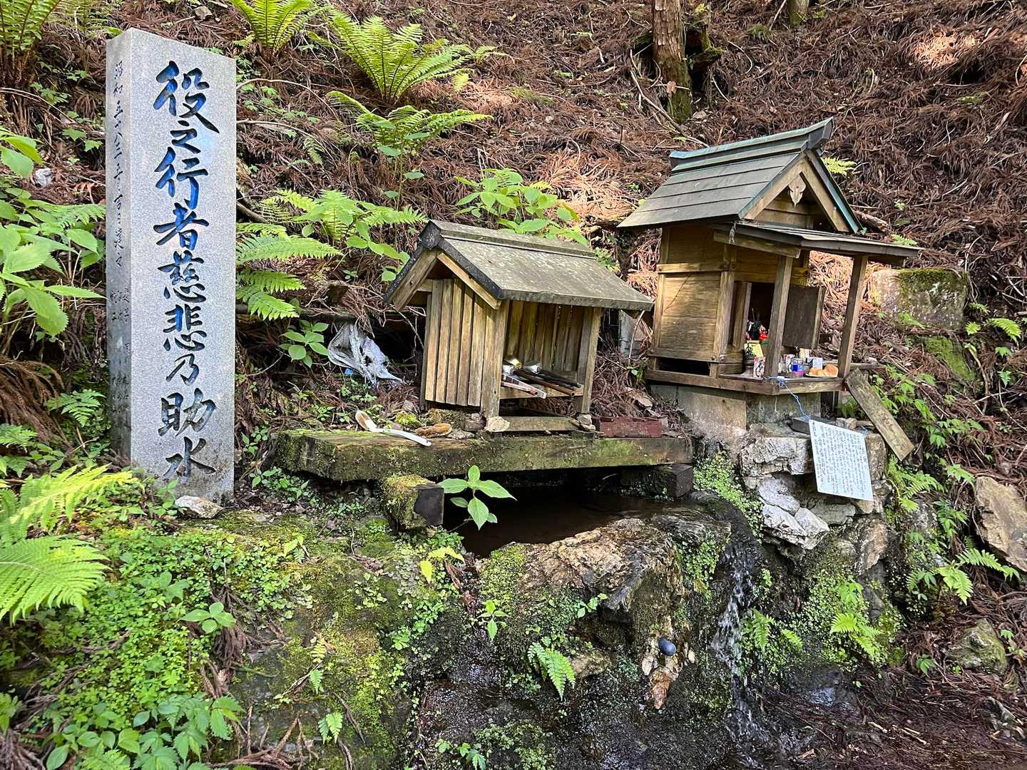 お助け水
きれいな水が流れてました🚿
