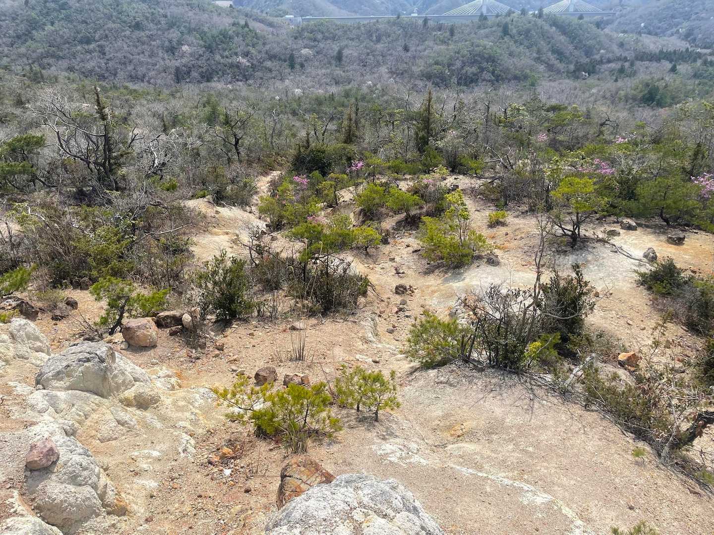 大岩ヶ岳登山口-大岩岳 縦走コースの写真