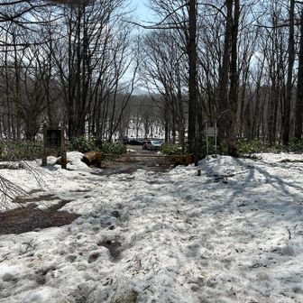 駐車場に戻った