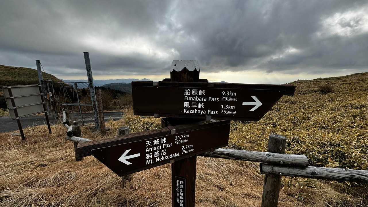伊豆山陵線トレイル（三蓋山・水呑頭・猫越岳・後藤山・魂の山・棚場山・伽藍山・古稀山・達磨山・小達磨山） の写真 46