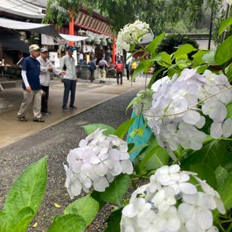 何かイベントがありそう